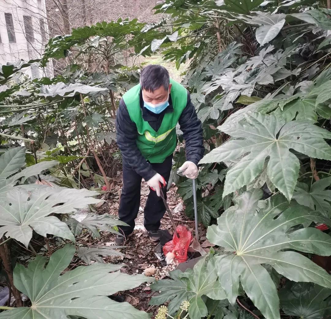 湖南保安服務,墻外高空清洗服務,湖南保利天創物業發展有限公司