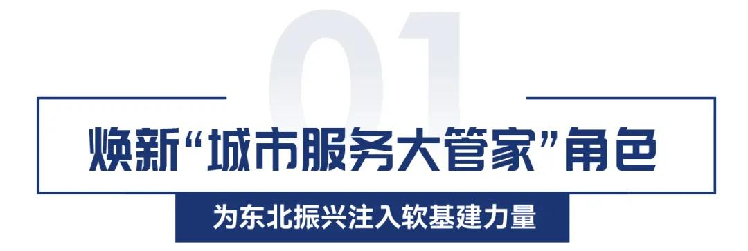 湖南保安服務,墻外高空清洗服務,湖南保利天創物業發展有限公司