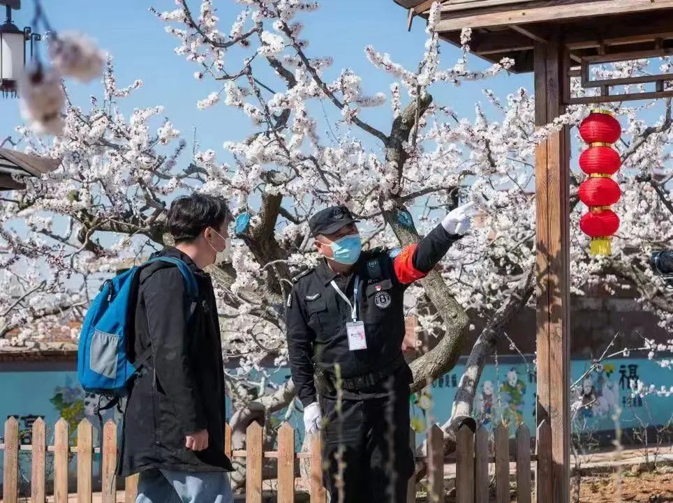 湖南保安服務,墻外高空清洗服務,湖南保利天創物業發展有限公司