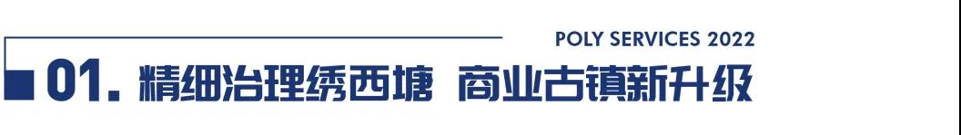 湖南保安服務,墻外高空清洗服務,湖南保利天創物業發展有限公司