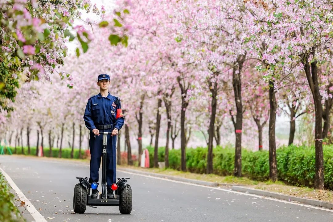 湖南保安服務(wù),墻外高空清洗服務(wù),湖南保利天創(chuàng)物業(yè)發(fā)展有限公司